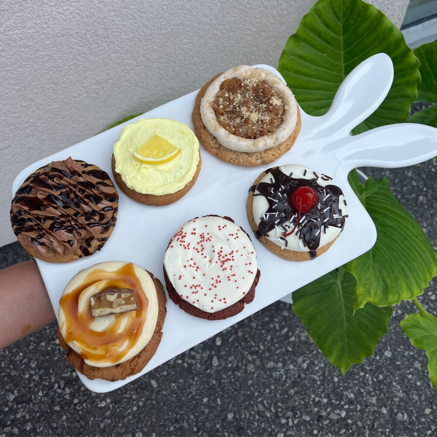 12 Pack  /50/100 Original Cookies