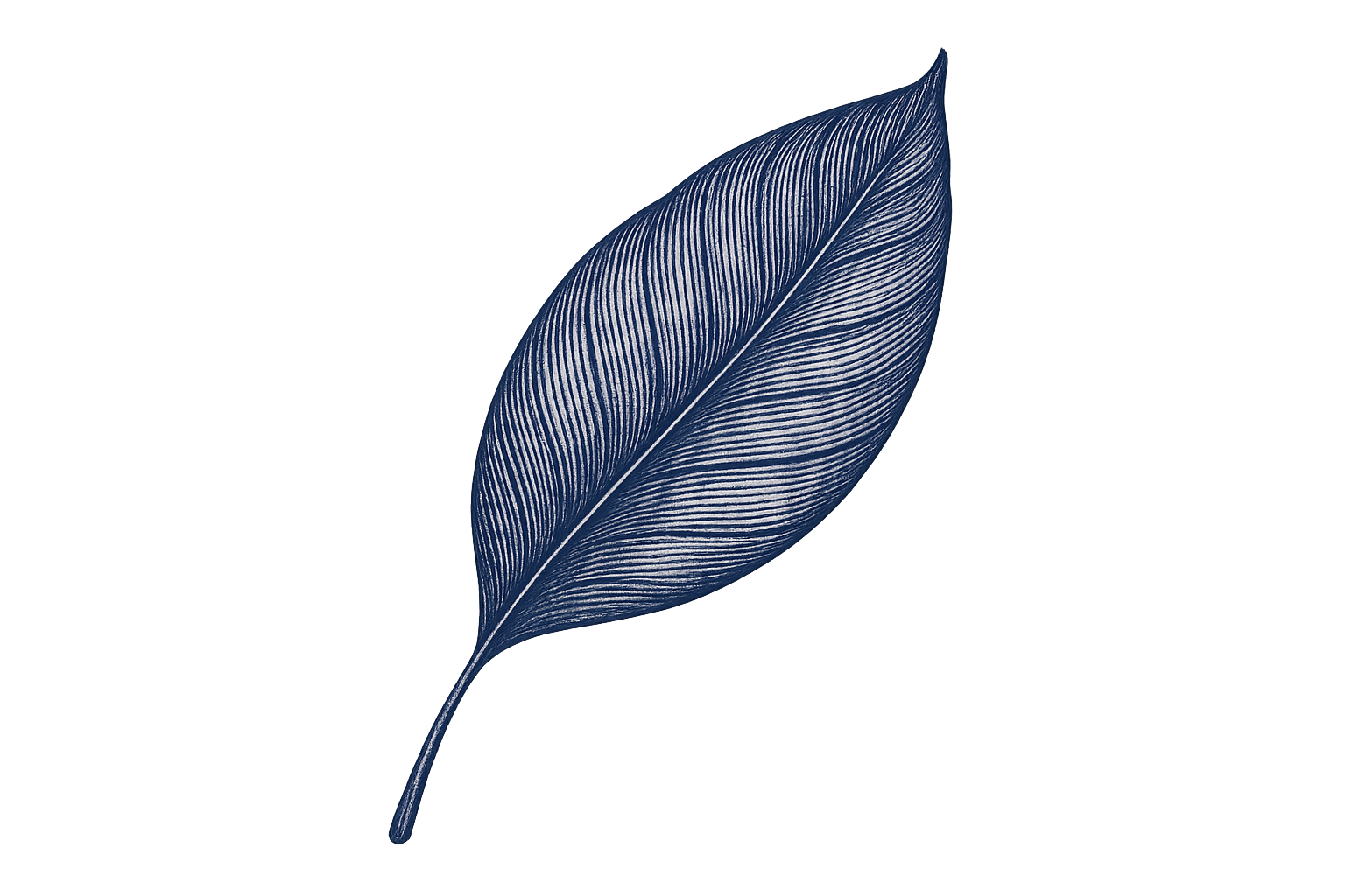 leaf, png, no background, navy blue
