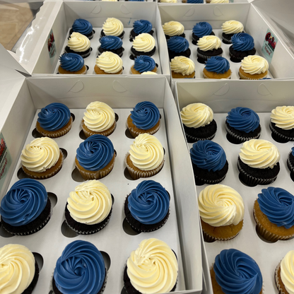 12 pack Custom Color Cupcakes