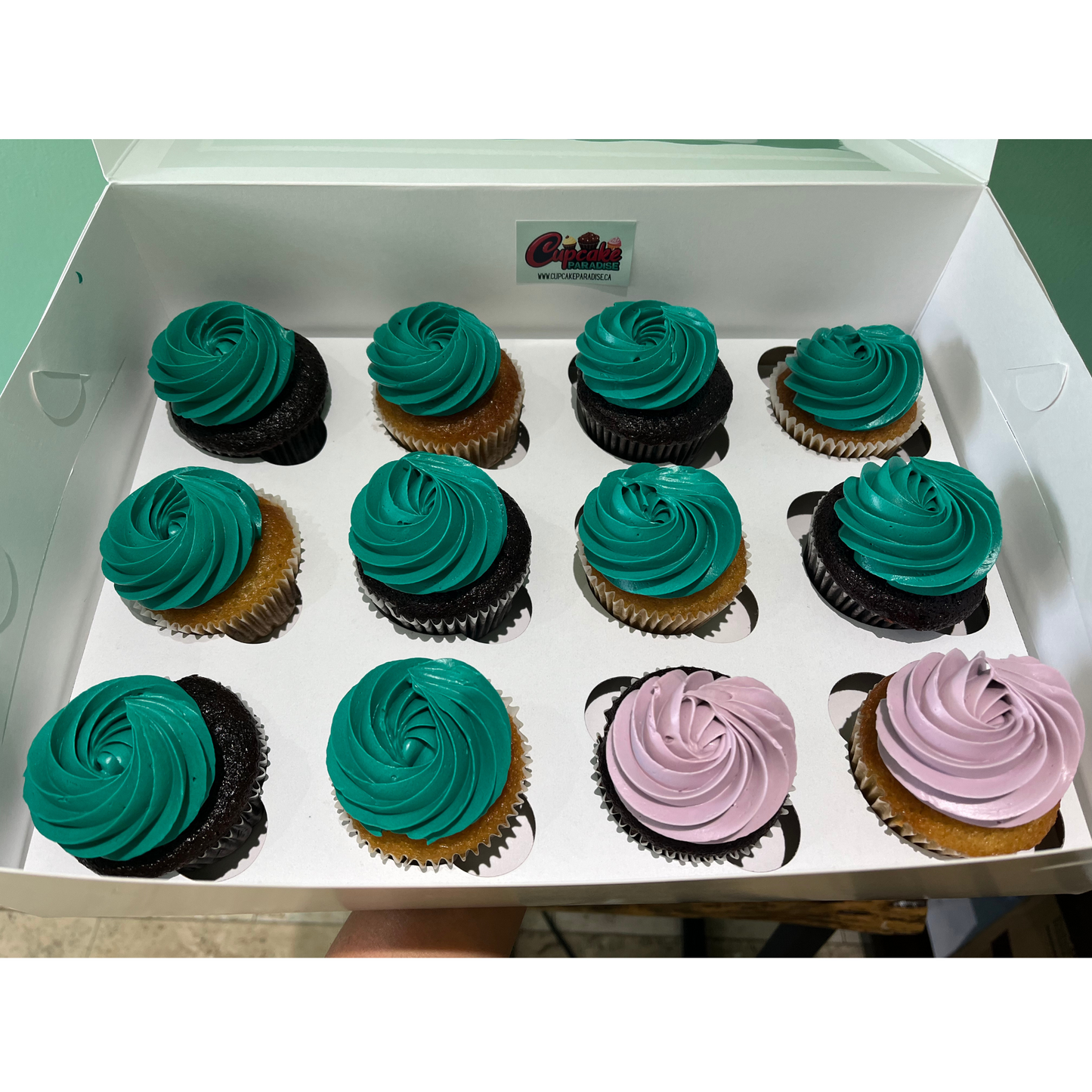 12 pack Custom Color Cupcakes